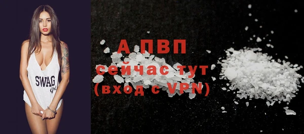 крисы Чердынь