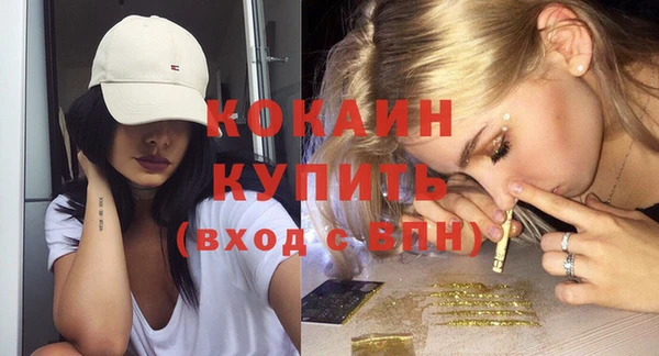 крисы Чердынь