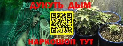 кокс Гагарин
