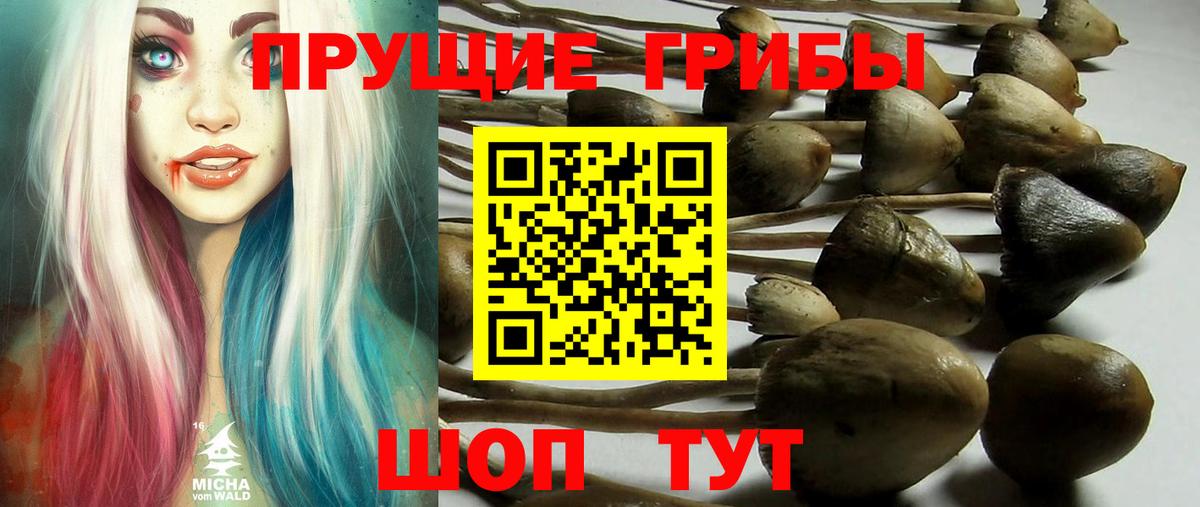 Галлюциногенные грибы мухоморы  Галлюциногенные грибы мицелий  Вход с VPN  Таганрог 
