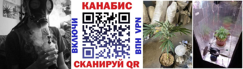 Бошки марихуана гибрид  Таганрог 